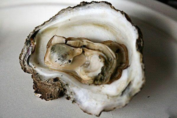 Steamed Oyster